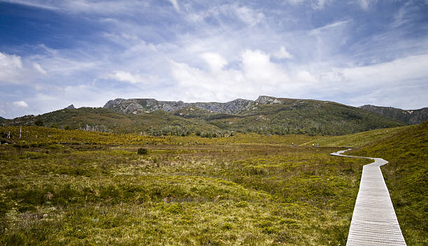 The Overland Track A portion of the famous Overland Track in Cradle Mountain-Lake Saint Clair National Park in northern Tasmania.  This portion of the walking trail is located near Ronnie's Creek. horizon over land stock pictures, royalty-free photos & images