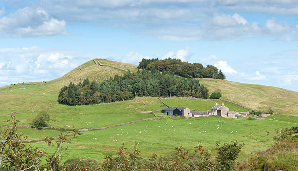 istock Hadrian's Wall looking east towards Housesteads 184397339