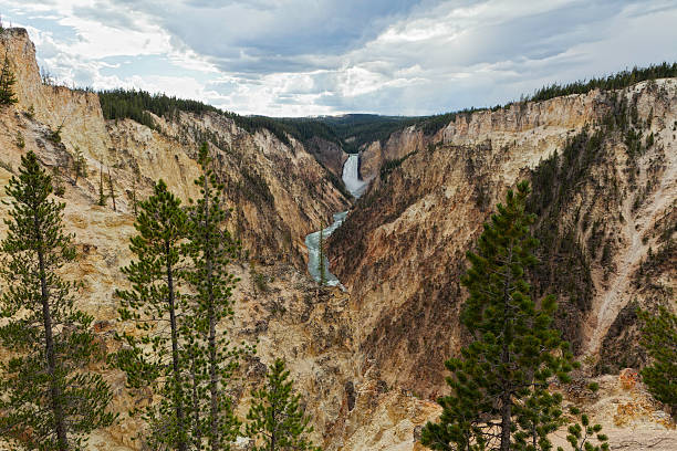 istock Yellowstone Falls from Artist Point 184397371