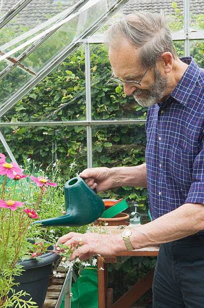 istock Senior man in greenhouse 184397403