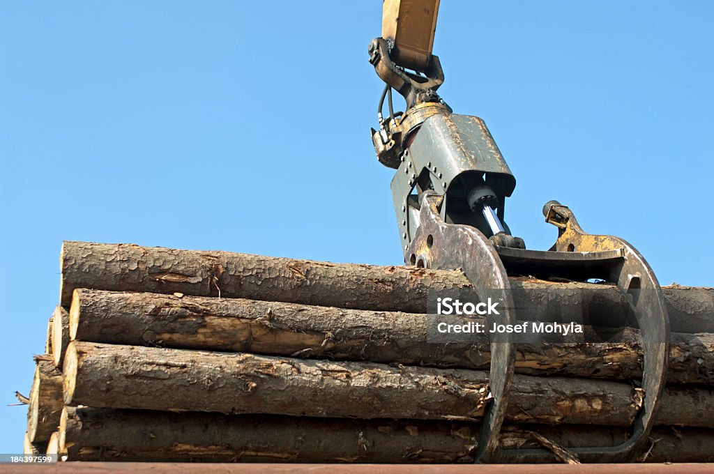Loading Edge Timber Loading Timber Lumber Industry Stock Photo - Download Image Now - Blue ...