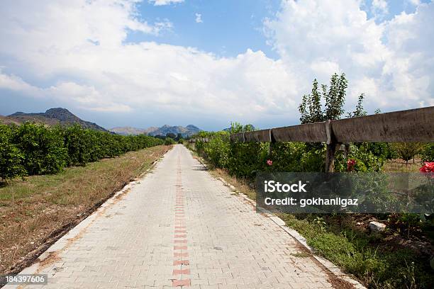 Pebbleroad Foto de stock y más banco de imágenes de Adoquinado - Adoquinado, Agricultura, Aire libre