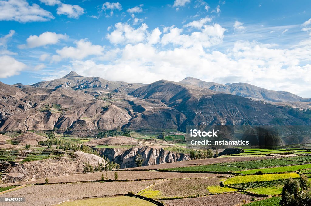 Colca Canyon in Peru - Lizenzfrei Anden Stock-Foto