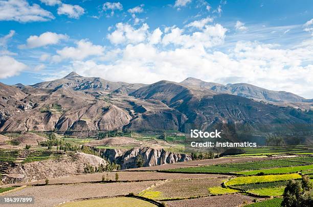 Colca Canyon In Peru Stockfoto und mehr Bilder von Anden - Anden, Berg, Braun
