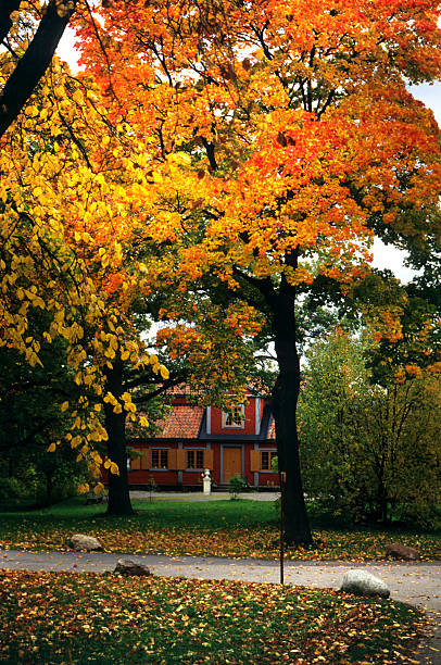 istock Nordic autumn 184398386