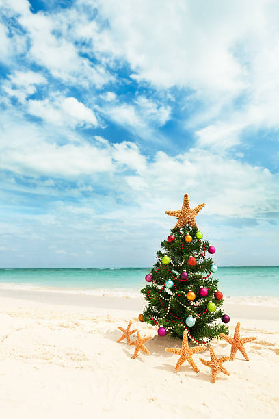 istock Christmas Tree on Tropical Caribbean Beach in Winter Holiday Vacation 184398621