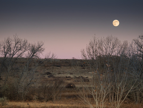 Winter moon rise in Colorado