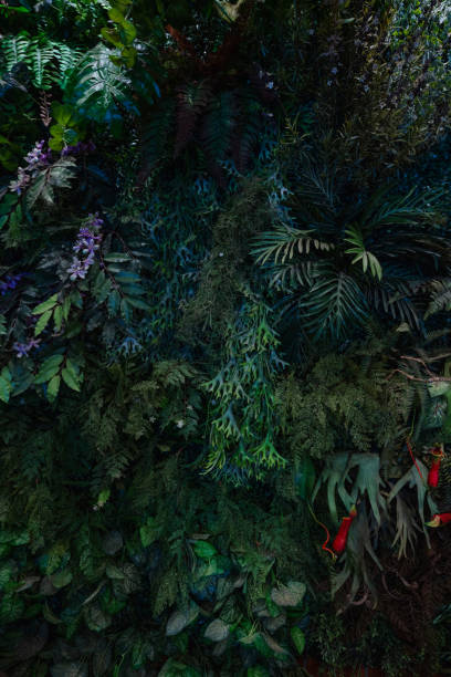 istock Group of dark tropical  green leaves background. 1843989978