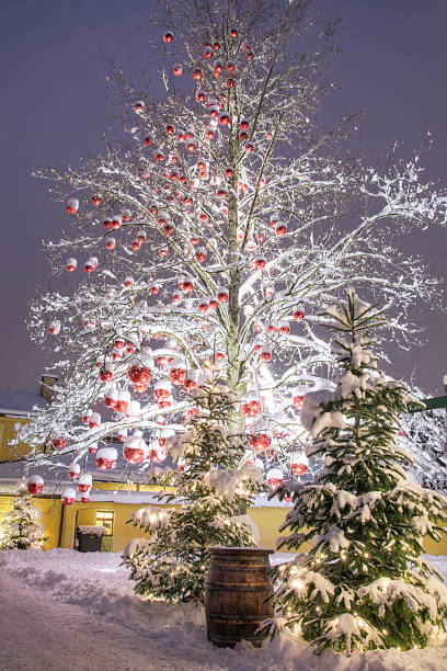 istock Christmas in Europe 184399793
