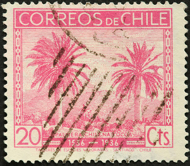 istock coconut palms on an old Chilean postage stamp 184400061