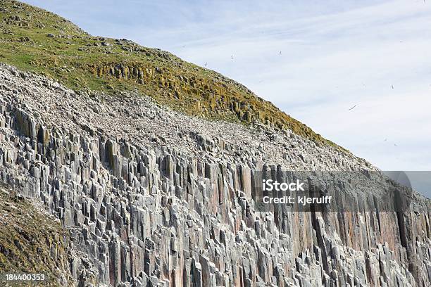 Foto de Ailsa Craig Colônia De Aves e mais fotos de stock de Escócia - Escócia, Animal, Colônia - Grupo de Animais