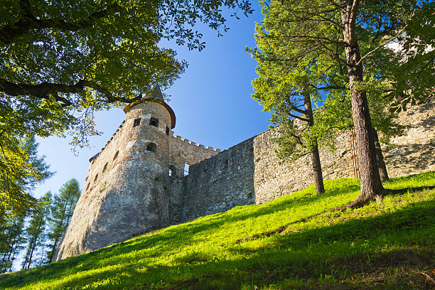 stara lubovna zamek - slovakia ancient past architecture zdjęcia i obrazy z banku zdjęć