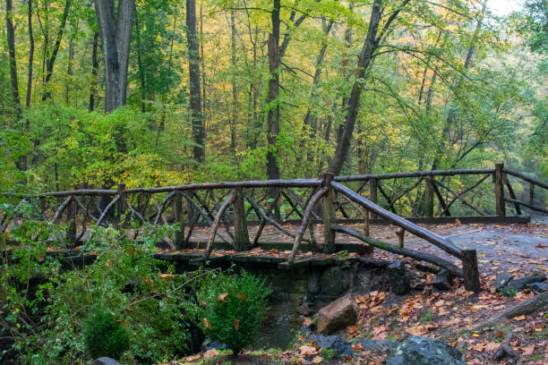 красивый бревенчатый мост через ручей на кладбище сонная лощина - cross autumn sky beauty in nature стоковые фото и изображения
