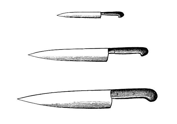 Set of Kitchen Knives | Antique Culinary Illustrations "Antique illustration of kitchen knives. Published in Le livre de cuisine, par Jules Goufe, Librarie Hachette et Cie (Paris, 1874).CLICK ON THE LINKS BELOW FOR HUNDREDS MORE SIMILAR IMAGES:" kitchen knife illustrations stock illustrations