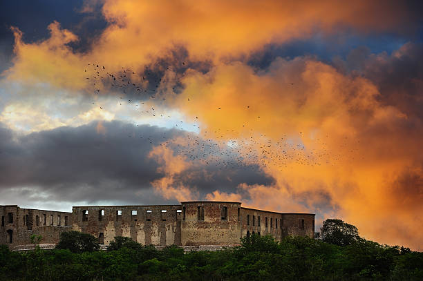 Large flock of birds taking off in sunset.