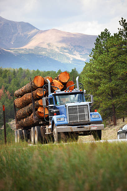 istock Log Truck Colorado 184401364