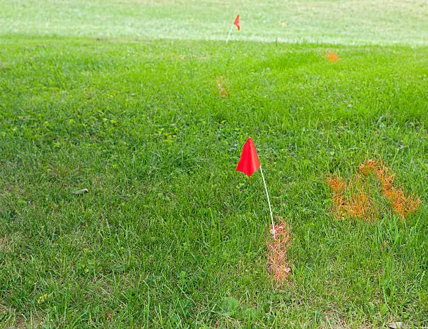 Photo of Red Flag and Paint Mark Underground Electric Lines
