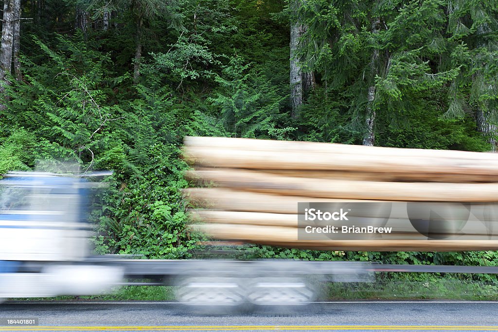 deforestation A logging truck passes on a highway with lush green forest in background. North-west united-states logging industry. Blurred Motion Stock Photo