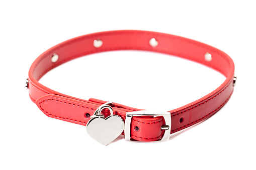 Red dog collar with heart shaped tag on white. XXXL