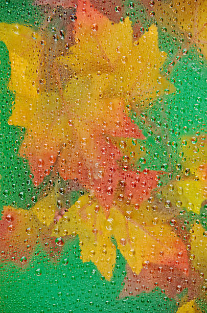 istock Autumn Leaves and Water with Copy 184402452