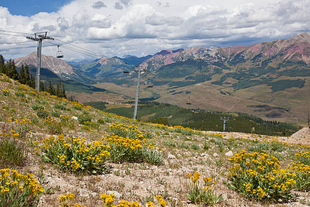 istock Ski Lift at Mt. Crested Butte in Summer 184402509