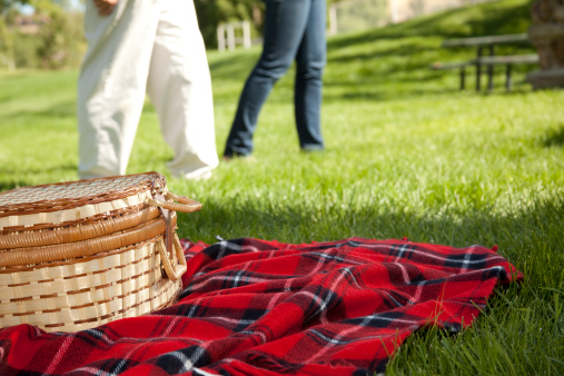 Picnic basket on red plaid blanket in park.  People walking in background.