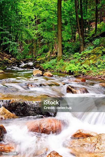 River Valley Stockfoto und mehr Bilder von Elbsandsteingebirge - Elbsandsteingebirge, Sommer, Bach