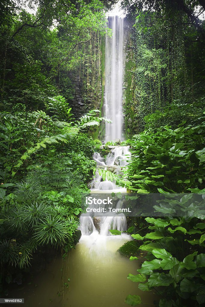 ジャングルの滝 - 滝のロイヤリティフリーストックフォト