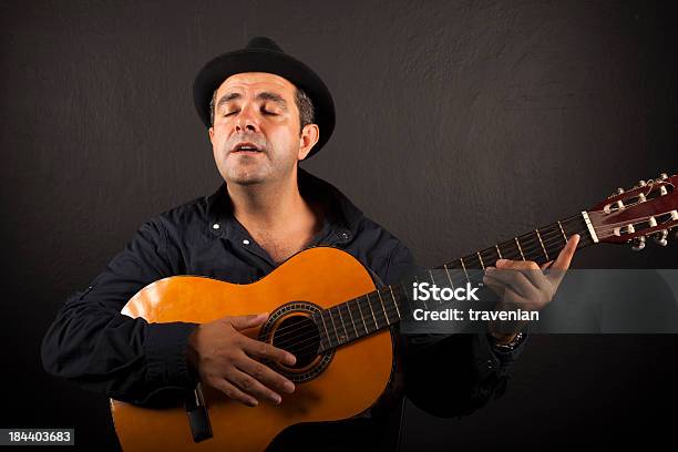 Hombre Con Sombrero Tocando La Guitarra Superior Foto de stock y más banco de imágenes de Adulto - Adulto, Arte cultura y espectáculos, Blues