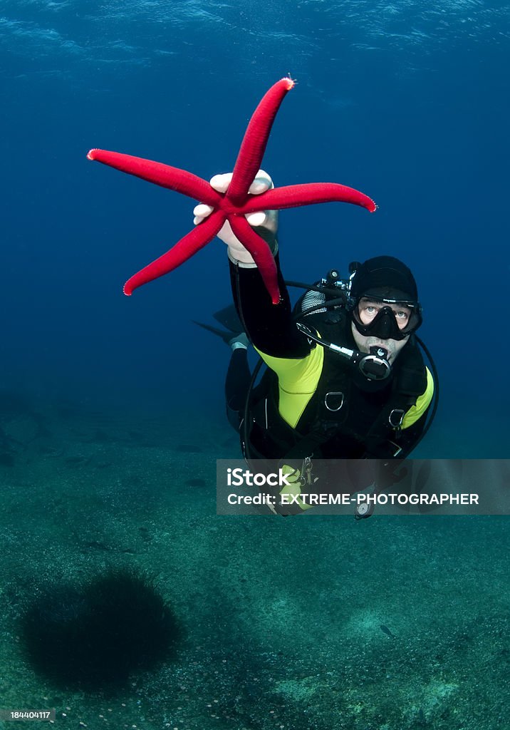 Estrela-do-mar vermelha - Foto de stock de Animal royalty-free