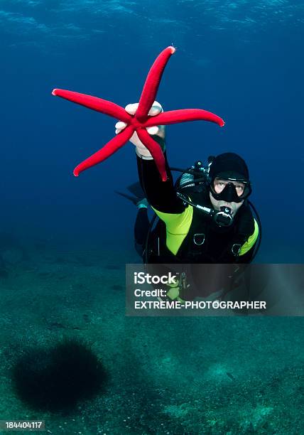 Foto de Estreladomar Vermelha e mais fotos de stock de Animal - Animal, Aqualung - Equipamento de Mergulho, Atividade