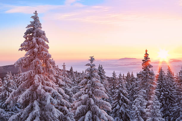 lever de soleil en hiver - christmas winter sunset snow photos et images de collection