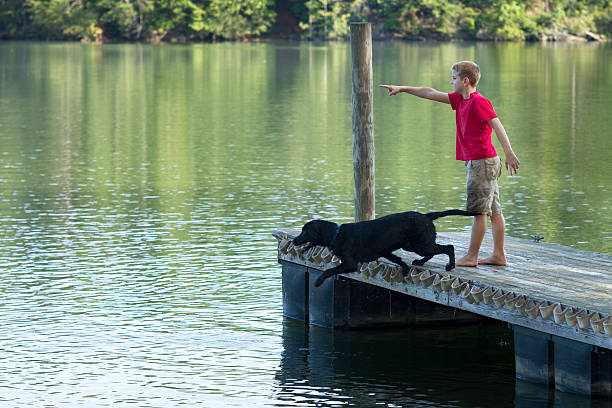 A standard poodle enjoys a summer day on a pontoon boat with the wind in her face.