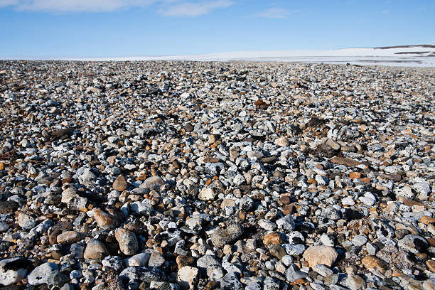 Polar Desert on Svalbard in the Arctic