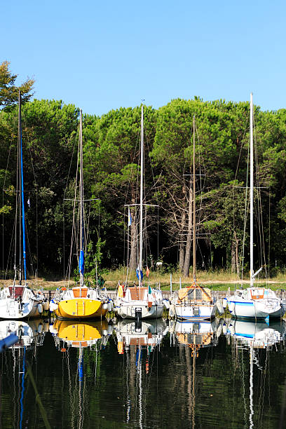 istock Sailboats in marina 184405064