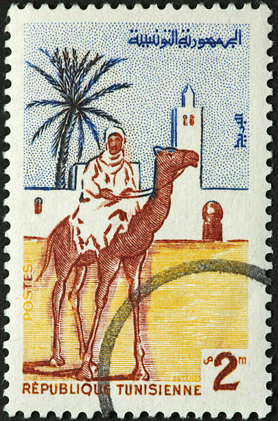 istock Arab man on a camel, old Tunsian postage stamp 184405192