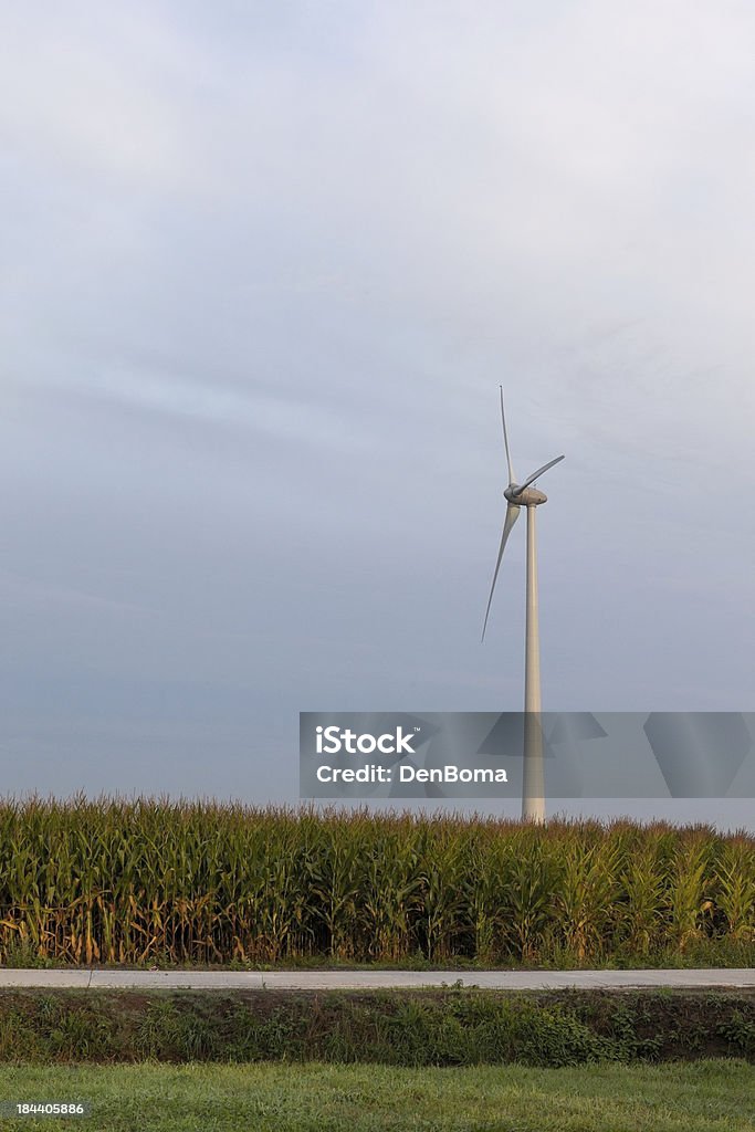 Niebieski niebo whit Turbina wiatrowa i kukurydzy pole - Zbiór zdjęć royalty-free (Biały)