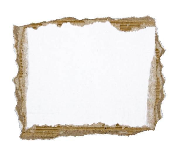 istock Torn pieces of corrugated paper isolated on white background 1844086965