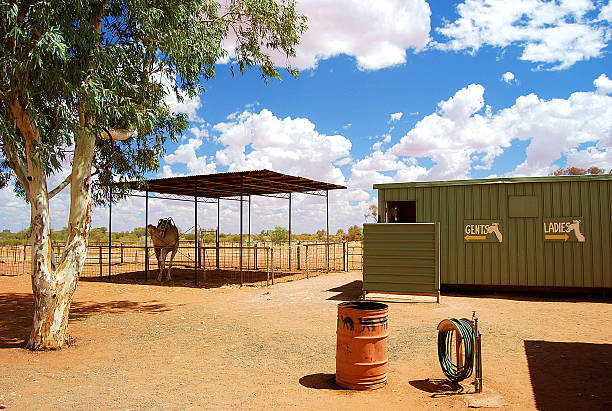 Australian Outback stock photo