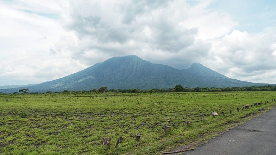 Savana Bekol is one of the favorite tourist attractions in Situbondo Regency which is always busy with tourists daily. On holiday in East Java, many areas have recommended tourist charms to explore. Situbondo tourism offers the charm of interesting destinations that must be visited, one of which is Savana Bekol