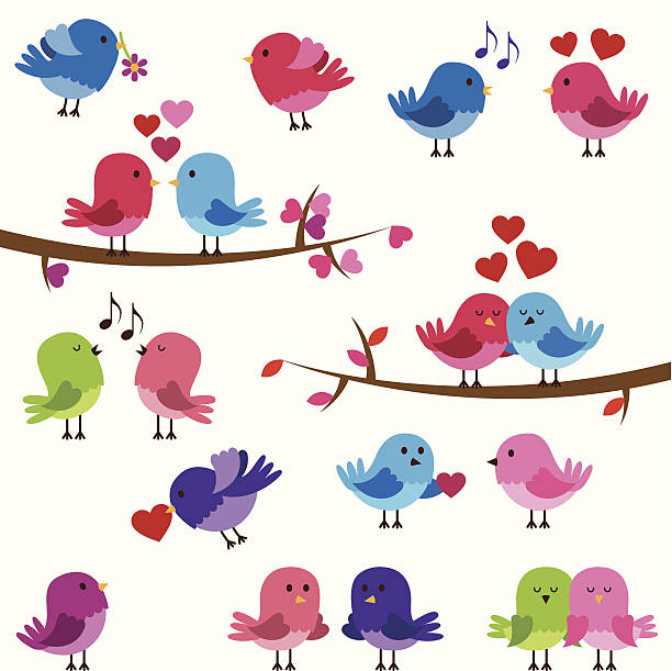 ilustrações, clipart, desenhos animados e ícones de vetor coleção de linda amor aves - valentines day flower single flower heart shape