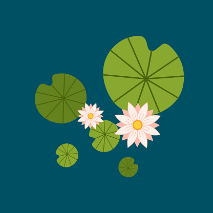 Lily pad vector. Lily pad illustration.