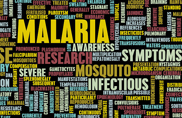 istock A chart full of words related to malaria 184418260
