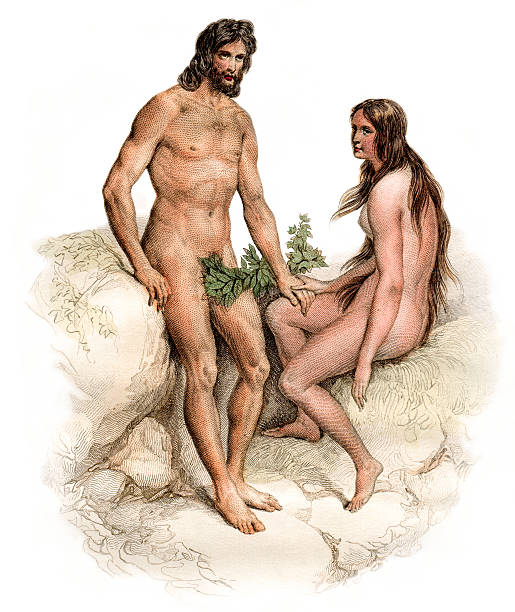 Drawing of Adam and Eve wearing leaves sitting on rocks Vintage engraved illustration - "Oeuvres complete de Buffon" by Buffon ed.Gravier Frères in 1853 France adam and eve painting stock illustrations