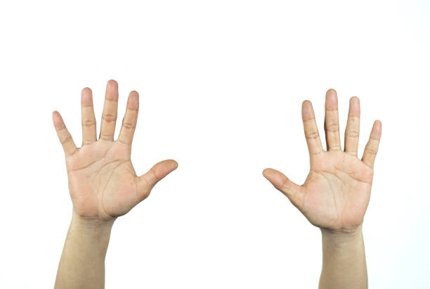 two raised men's hands isolated on white background