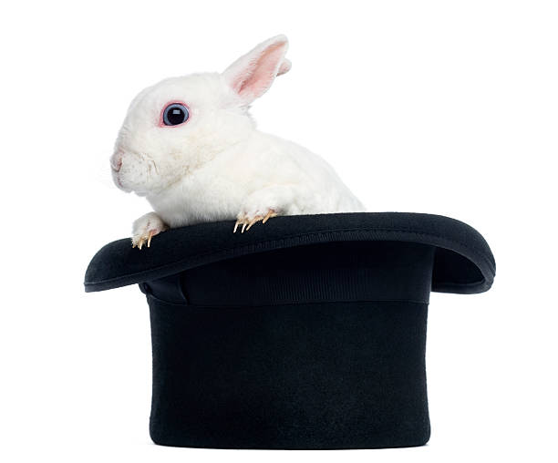 istock Mini rex rabbit goint out of a top hat, isolated 184423319