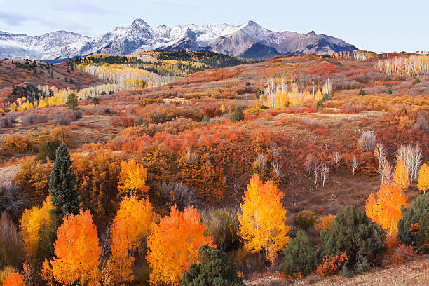 dallas divida, floresta nacional uncompahgre, colorado - colorado road mountain landscape - fotografias e filmes do acervo