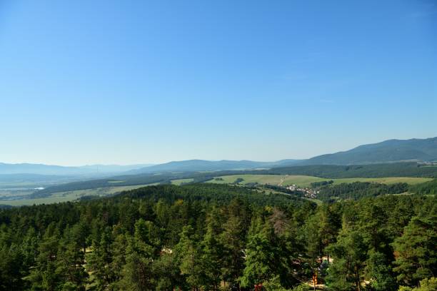 Panorama view of the landscape and treetops from a height stock photo