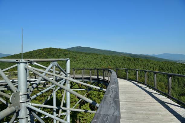 istock Tourist attraction iron walkway high in the treetops 1844262479