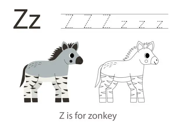 Vector illustration of Tracing alphabet letters with cute animals. Color cute zonkey. Trace letter Z.